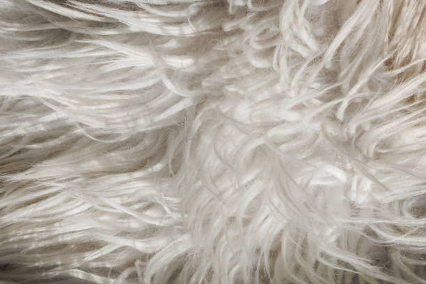 istock Close up artificial fluffy white-grey fabric fur, wool shaggy carpet with long pile. Soft loop pile surface. Hairy carpet detail. Faux fur texture, background. 1860275227