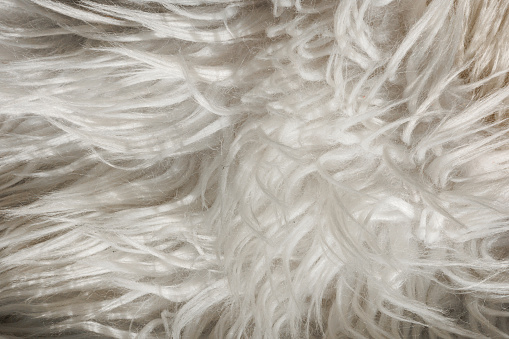 Close up artificial fluffy white-grey fabric fur, wool shaggy carpet with long pile. Soft loop pile surface. Hairy carpet detail. Faux fur texture, background