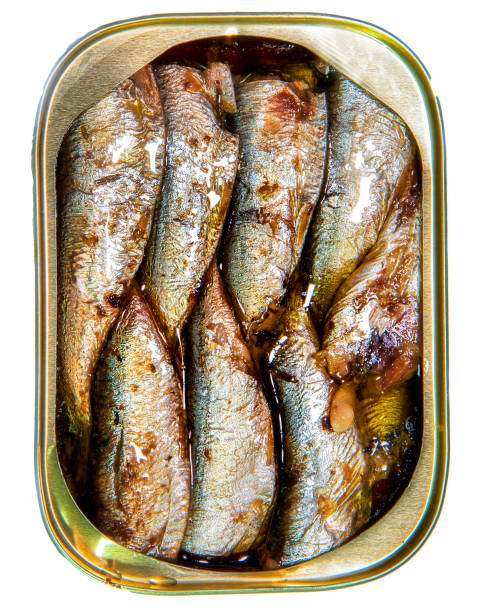 istock Sardines in a can of oil 1860282405