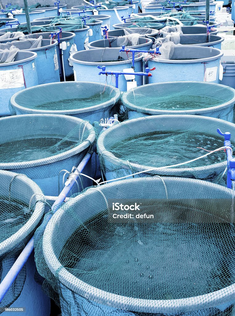 Agriculture aquaculture farm Agriculture aquaculture water system farm Agriculture Stock Photo