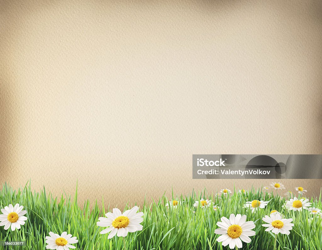 Wasser Farbe Papier mit Gras und Blumen bodered. - Lizenzfrei Alt Stock-Foto