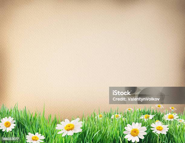 Wasser Farbe Papier Mit Gras Und Blumen Bodered Stockfoto und mehr Bilder von Alt - Alt, Altertümlich, Am Rand