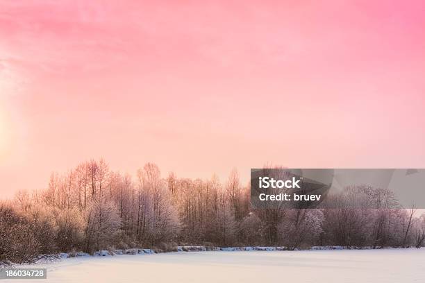 Paesaggio Invernale Di Foresta - Fotografie stock e altre immagini di Foresta - Foresta, Inverno, Rosa - Colore