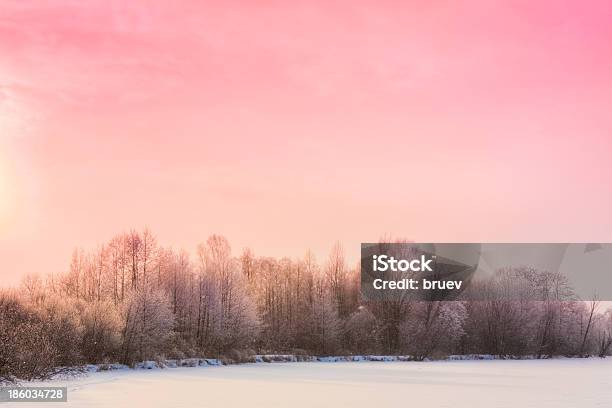 森林の冬景色 - ピンク色のストックフォトや画像を多数ご用意 - ピンク色, 冬, 日没