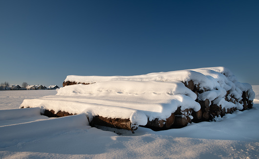 Long beams of firewood lie on white snow. The logs are covered with fresh snow. In the background, the horizon with a small village. The sky is blue.