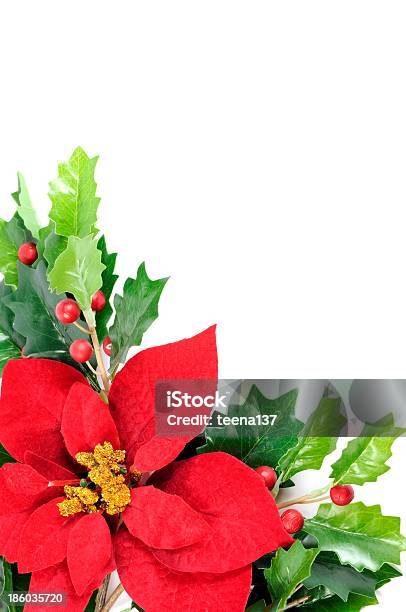 Decoración De Navidad Foto de stock y más banco de imágenes de Acebo - Acebo, Celebración - Ocasión especial, Colorido