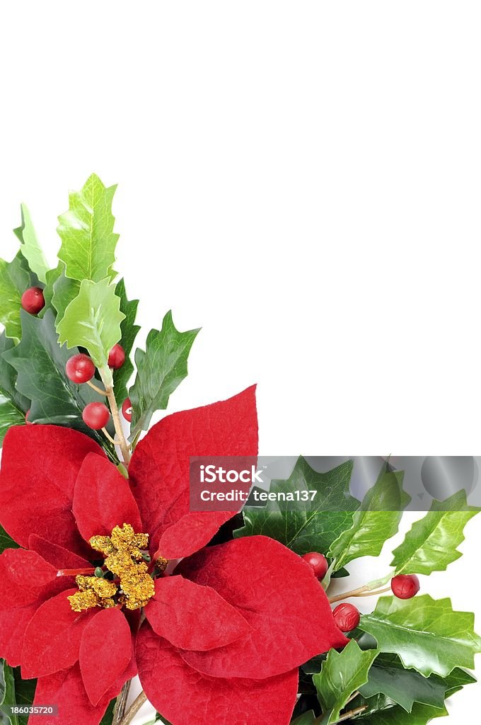 Decoração de Natal - Royalty-free Azevinho Foto de stock