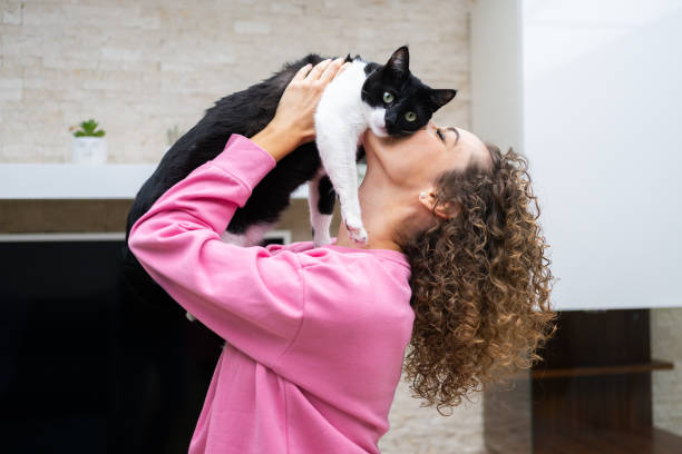 Unrecognizable woman raising up and kissing cute cat stock photo