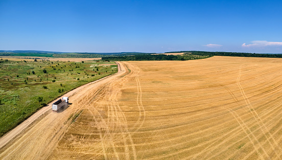 Aerial view of cargo trucks on dirt road between agricultural wheat fields. Transportation of grain after being harvested by combine harvester during harvesting season.