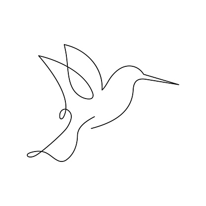 Continuous line drawing of hummingbird Icon symbol Design Symbol Template Flat Style Vector
