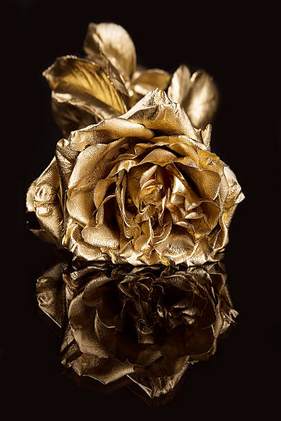 istock Golden rose at black background 186041915