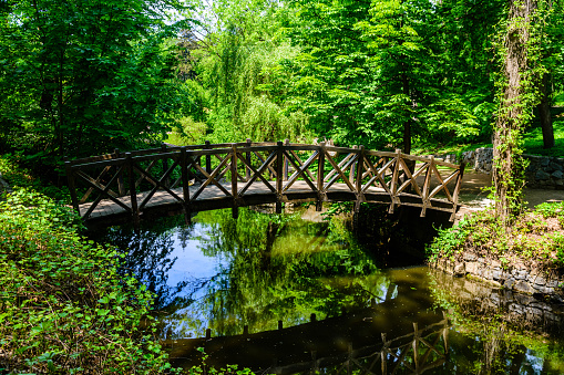 Wooden footbridge in city park on summer