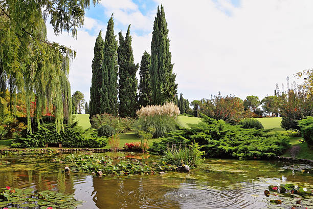 istock quiet corner of the park 186046491