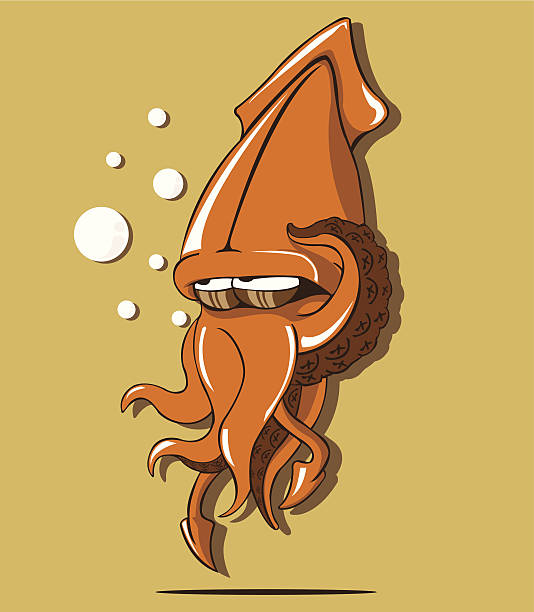 오징어 벡터, 일러스트 - sushi nigiri white background red stock illustrations