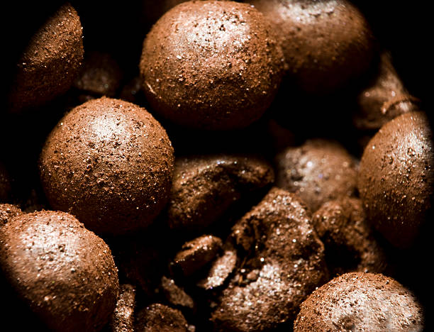 istock Macro of bronzing powder pearls makeup cosmetic 186049457