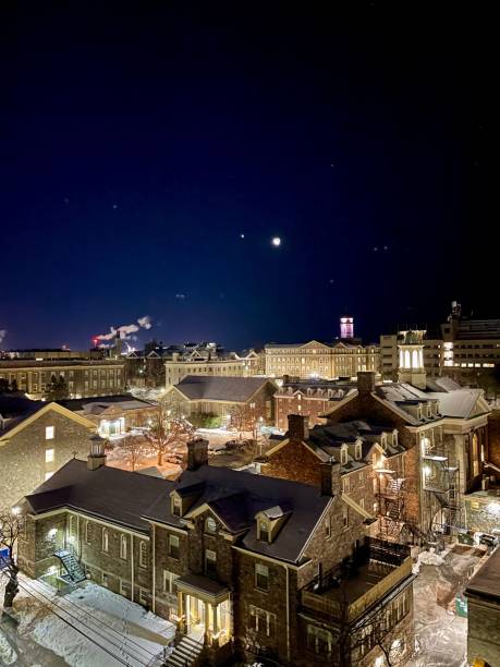 istock Starlit sky over Dal and King's 1860497206