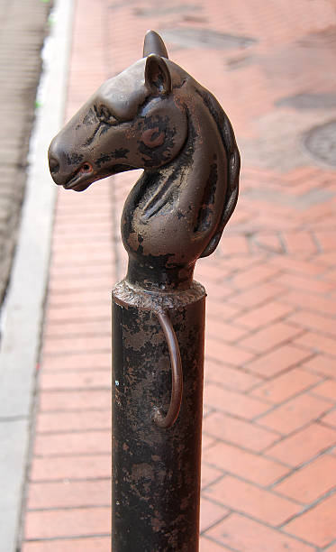 istock New Orleans Black Horse 186050212