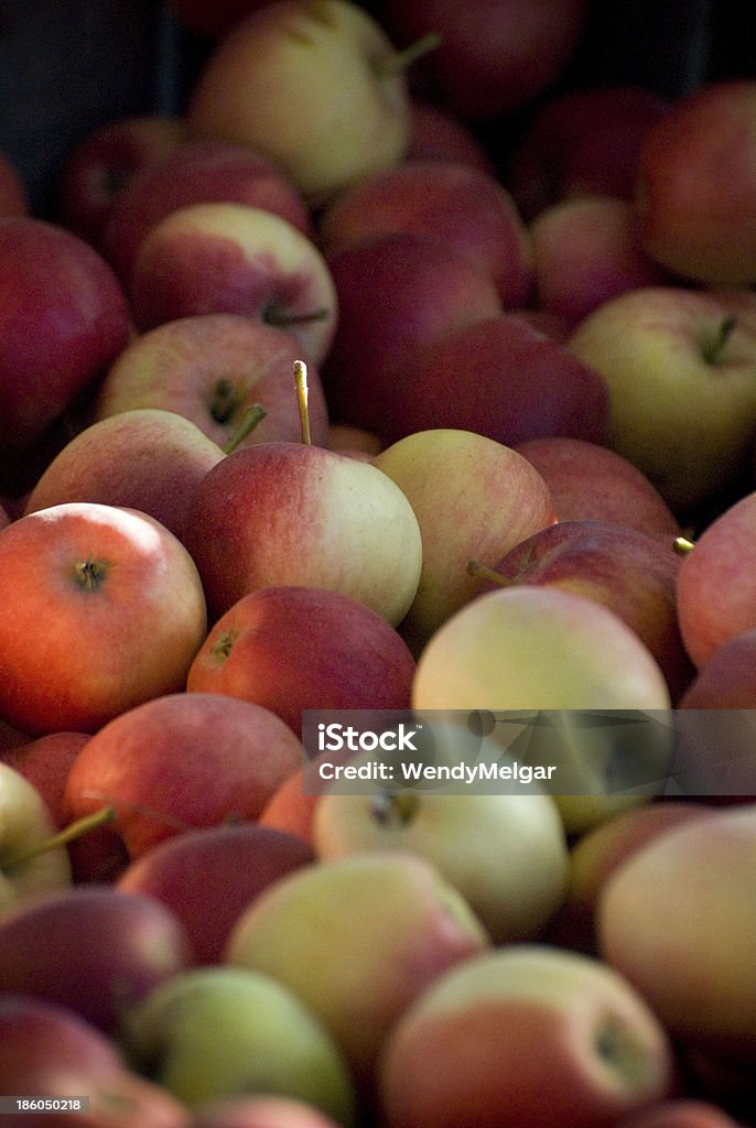 Frisch geschnittenes Äpfel - Lizenzfrei Apfelsorte Granny Smith Stock-Foto