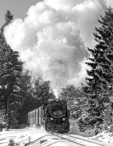 Camera: Nikon D 850 - 45 MP-Sensor / Location: Harz mountain, Lower Saxony, Germany