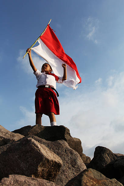 patriotismo - child patriotism saluting flag fotografías e imágenes de stock