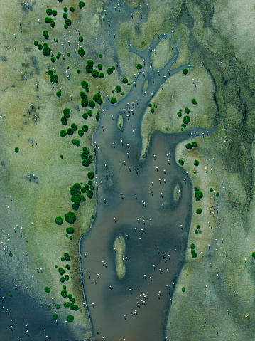 Aerial view of beautiful natural shapes and textures on lake. Konya, Türkiye.