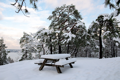Winter landscape with wooden table and benches under snow in frozen pine forest in Sweden on cold december day