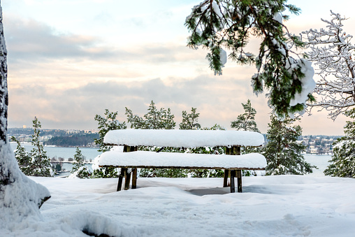 Snow in winter park, garden benches under snow. Sweden