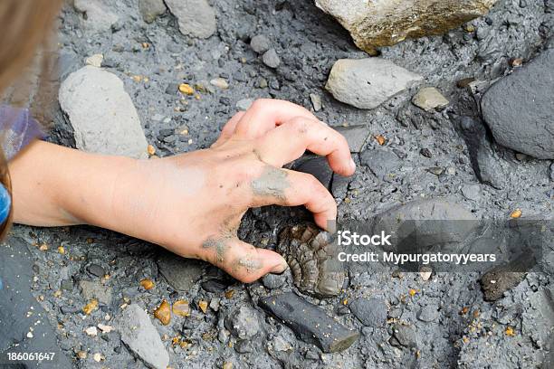 Fossil Hunting Stock Photo - Download Image Now - Fossil, Child, Searching