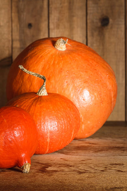istock Pumpkins on grunge wooden backdrop background 186061708