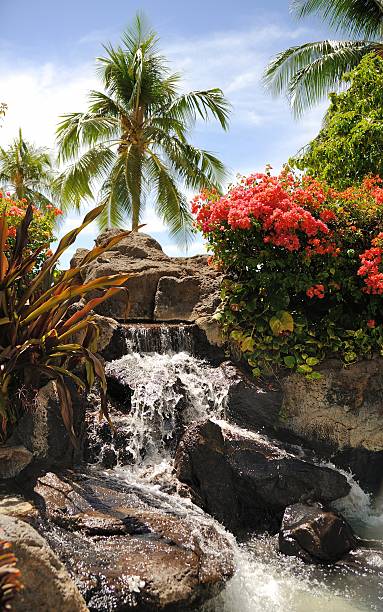 Waikiki Waterfall stock photo