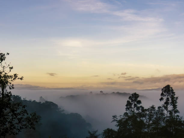 istock View of a hill and forest covered with low mist 1860636863