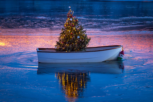 A Christmas tree stands in a dinghy at sunset on a frozen pond in Rhode Island