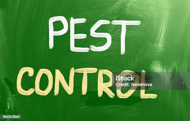 害虫駆除コンセプト - コントロールのストックフォトや画像を多数ご用意 - コントロール, ゴキブリ, 保護