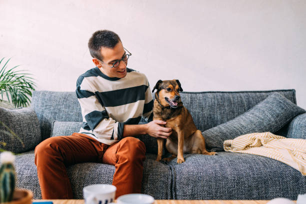 istock Lazy Afternoon Bliss: Man on Sofa Enjoying Quality Time with Furry Friend 1860642100