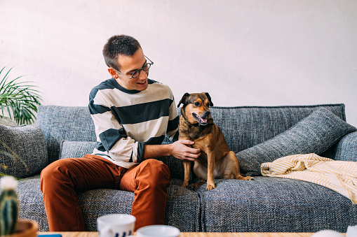 Experience the heartwarming harmony of a man and his dog, sharing cozy moments on the sofa in the living room, creating a delightful scene of friendship and relaxation.