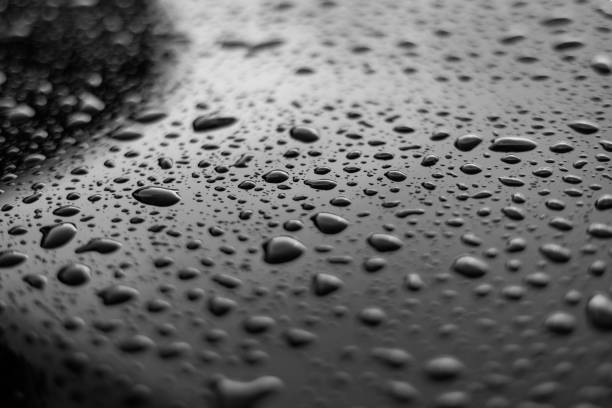 Rain or water drops different size on a black shiny car hood surface. Water droplets on dark iron surface and texture. Abstract background and water texture for design