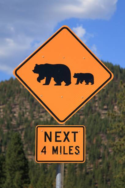 istock Bear Warning Sign, Lake Tahoe 1860653041