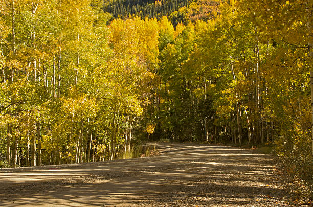 istock Country Road in Autumn 186066211