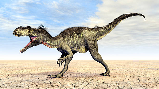 dinosaur megalosaurus - hugely photos et images de collection