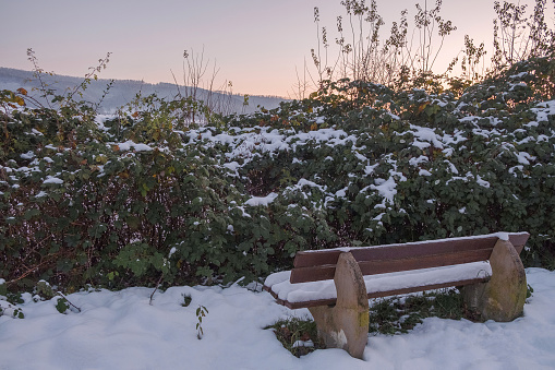 Park bench and bushes covered by heavy snow, sunset.