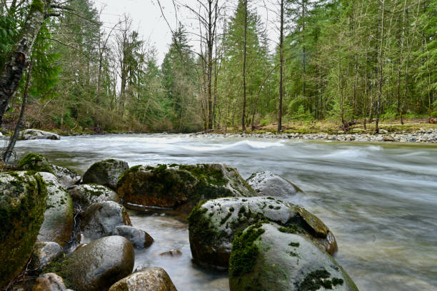 Coquitlam River stock photo