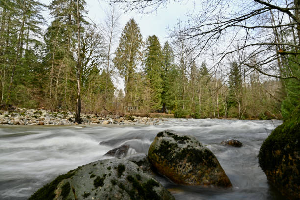 Coquitlam River stock photo