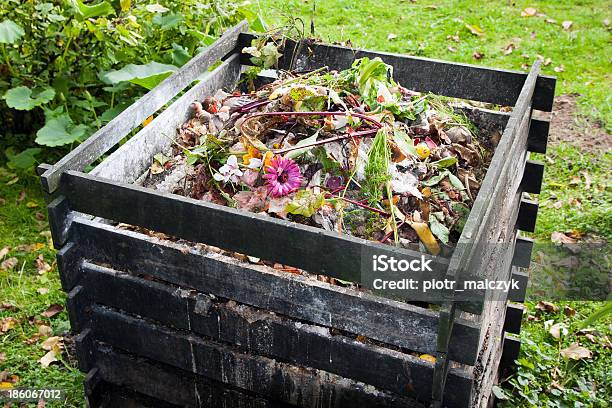 Compost Bin Stock Photo - Download Image Now - Compost, Banana Peel, Biodegradable