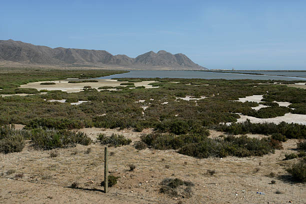 saltpans im gabo gato de - gatoo stock-fotos und bilder