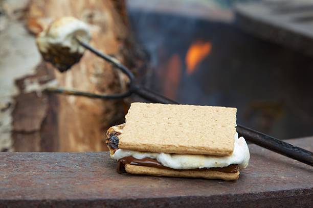 istock Campfire S'mores Treat and Roasting Marshmallow 186070760