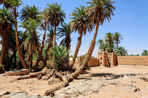 Morocco, Draa valley. Doum Laalag oasis stock photo