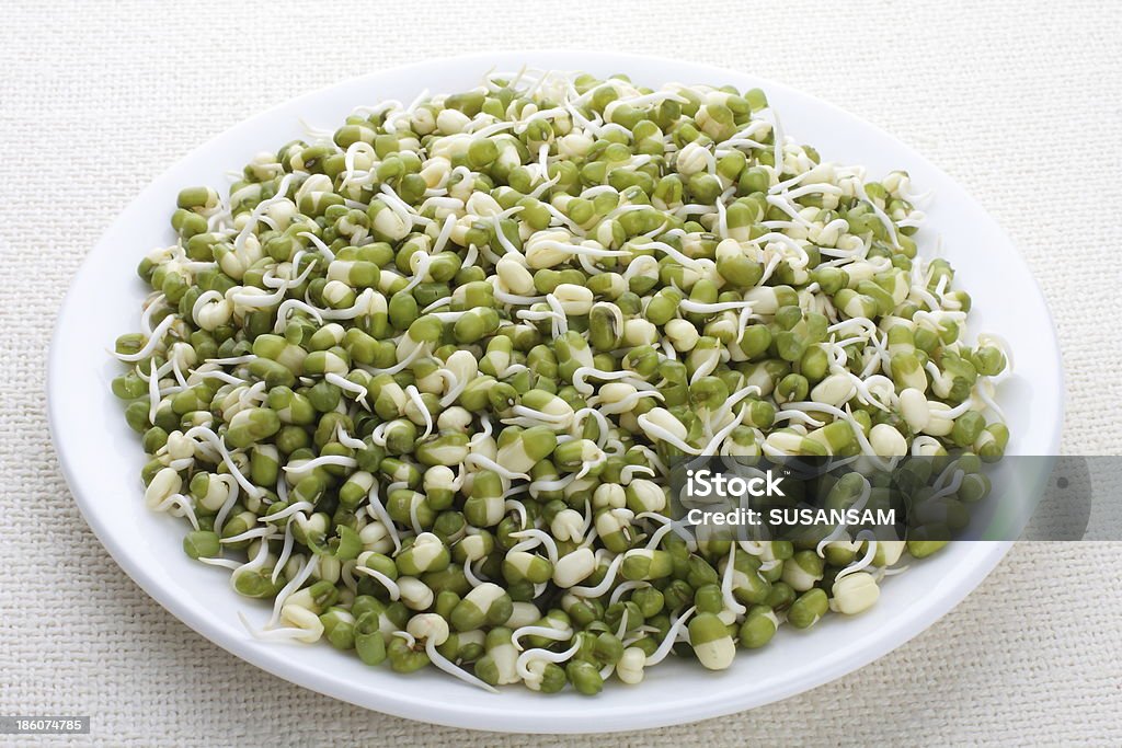 Mungbohne sprouts - Lizenzfrei Rosenkohl Stock-Foto