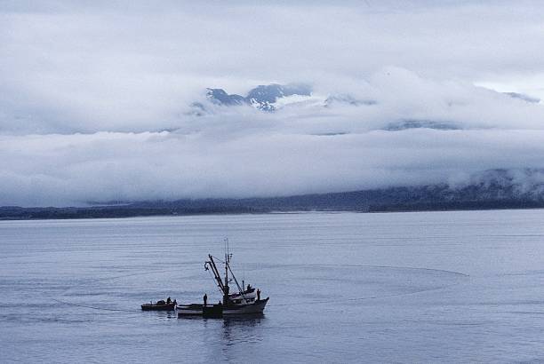 Cerco barco em Prince William Sound - fotografia de stock