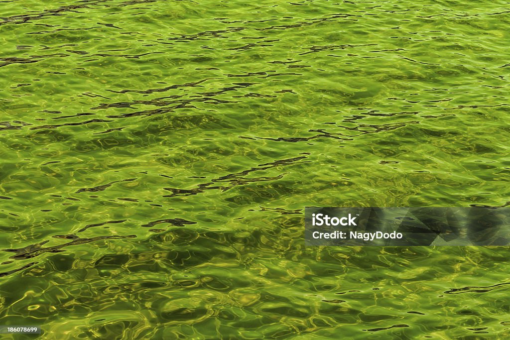 Grün abstrakt Hintergrund der wellenförmigen Wasser - Lizenzfrei Abstrakt Stock-Foto