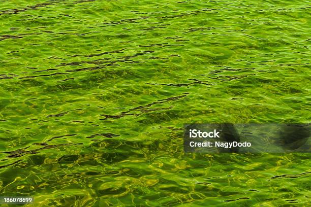 Grün Abstrakt Hintergrund Der Wellenförmigen Wasser Stockfoto und mehr Bilder von Abstrakt